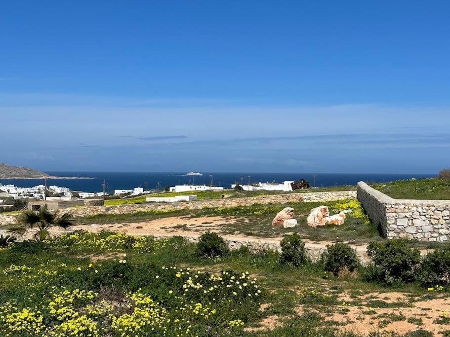 Aretousa Residence In Naoussa, Paros Экстерьер фото