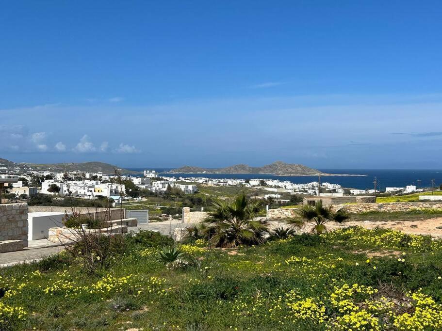 Aretousa Residence In Naoussa, Paros Экстерьер фото
